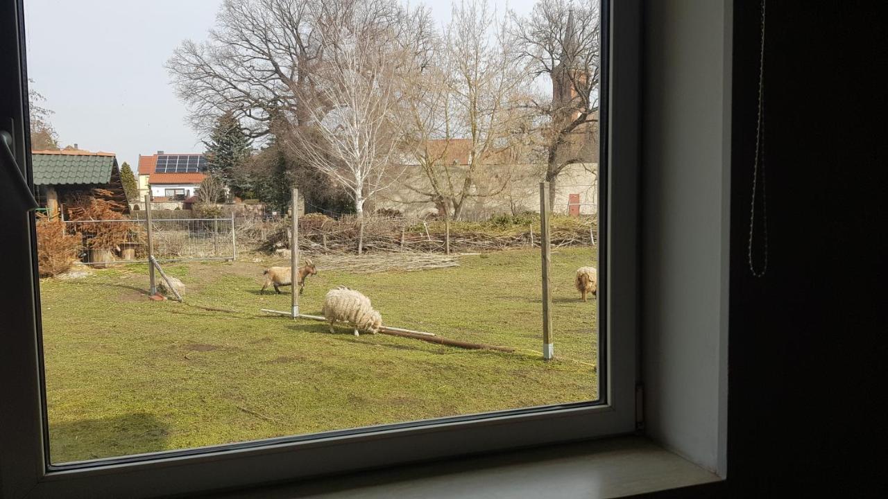 Zimmervermietung Zahn Baalberge Eksteriør bilde